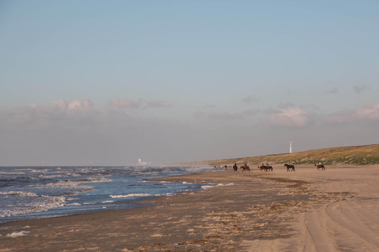 The Flying Pig Beach Hostel Noordwijk Kültér fotó