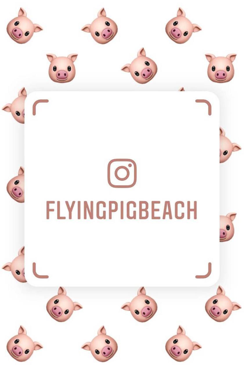 The Flying Pig Beach Hostel Noordwijk Kültér fotó
